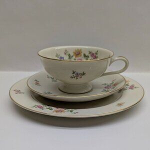 Thomas Rosenthal Germany Floral Trio Set With Gold Trim - Cup Saucer & Plate